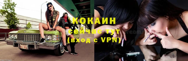 ECSTASY Богданович