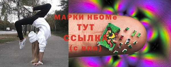 ECSTASY Богданович