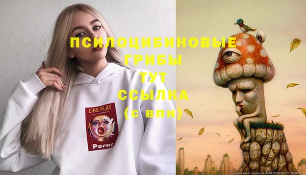 ECSTASY Богданович