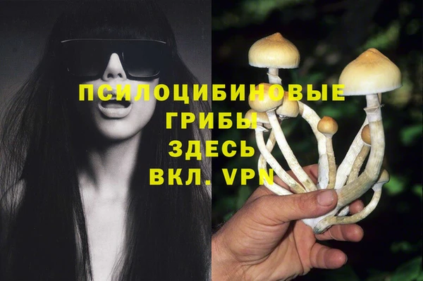 меф Богородицк