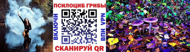 Купить где  Коммунар  Галлюциногенные грибы GOLDEN TEACHER 